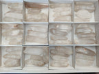 Natural Clear Quartz Single Crystals x 48 From Ambatofinandrahana, Madagascar - Toprock Gemstones and Minerals 