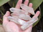 Natural Clear Quartz Single Crystals x 48 From Ambatofinandrahana, Madagascar - Toprock Gemstones and Minerals 