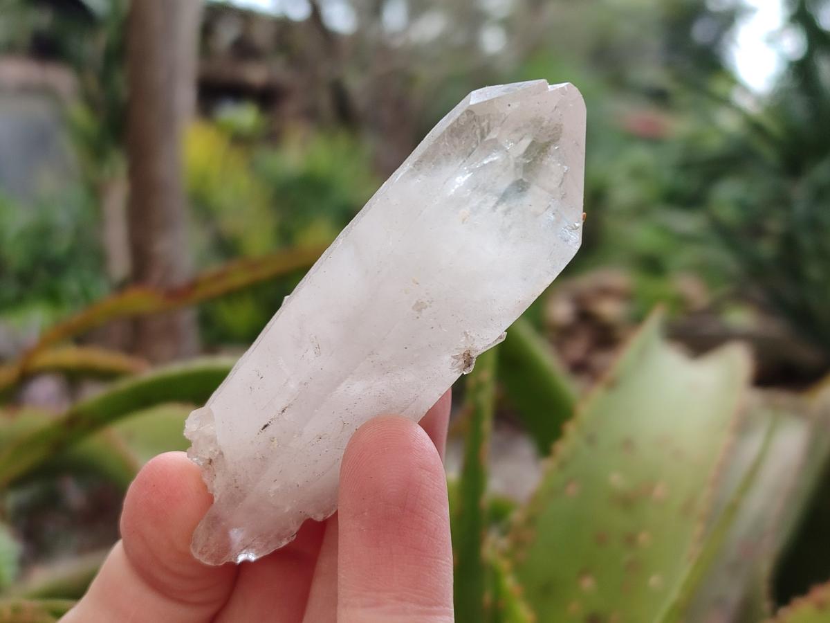 Natural Clear Quartz Single Crystals x 48 From Ambatofinandrahana, Madagascar - Toprock Gemstones and Minerals 