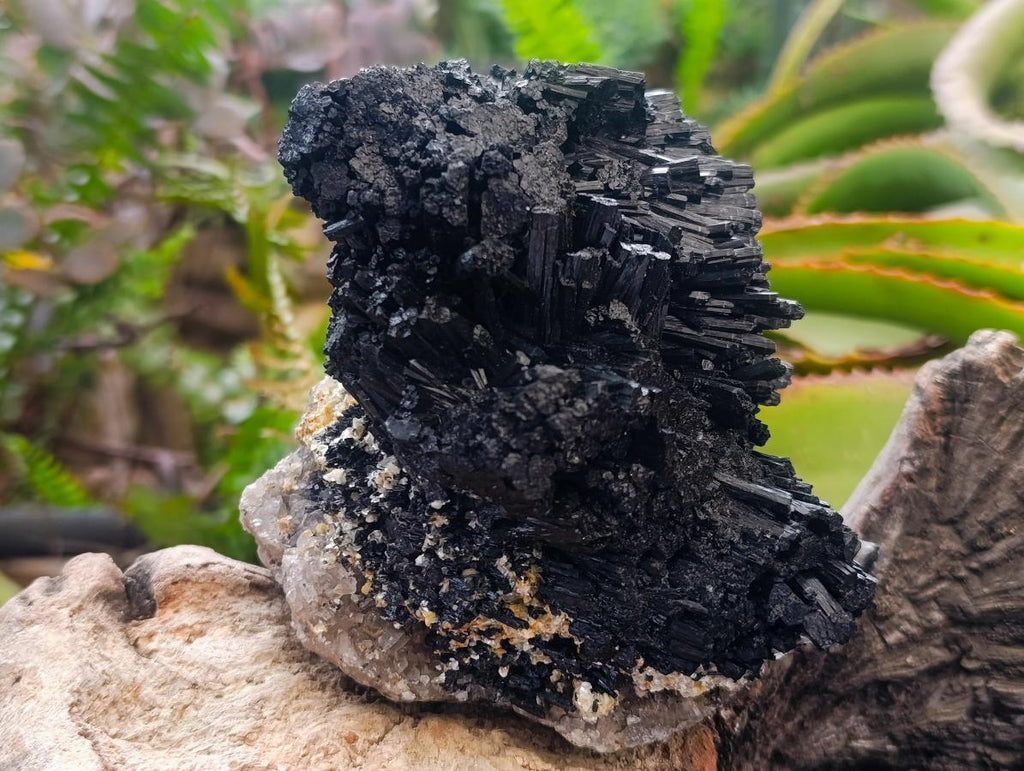 Natural Schorl Black Tourmaline with Silver Mica Specimens x 2 From Erongo, Namibia - Toprock Gemstones and Minerals 