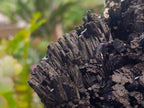 Natural Schorl Black Tourmaline with Silver Mica Specimens x 2 From Erongo, Namibia - Toprock Gemstones and Minerals 