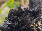 Natural Schorl Black Tourmaline with Silver Mica Specimens x 2 From Erongo, Namibia - Toprock Gemstones and Minerals 