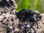 Natural Schorl Black Tourmaline with Silver Mica Specimens x 2 From Erongo, Namibia - Toprock Gemstones and Minerals 