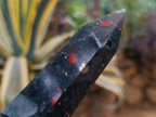 Polished Bloodstone Display Crystal Points x 3 From Swaziland - Toprock Gemstones and Minerals 