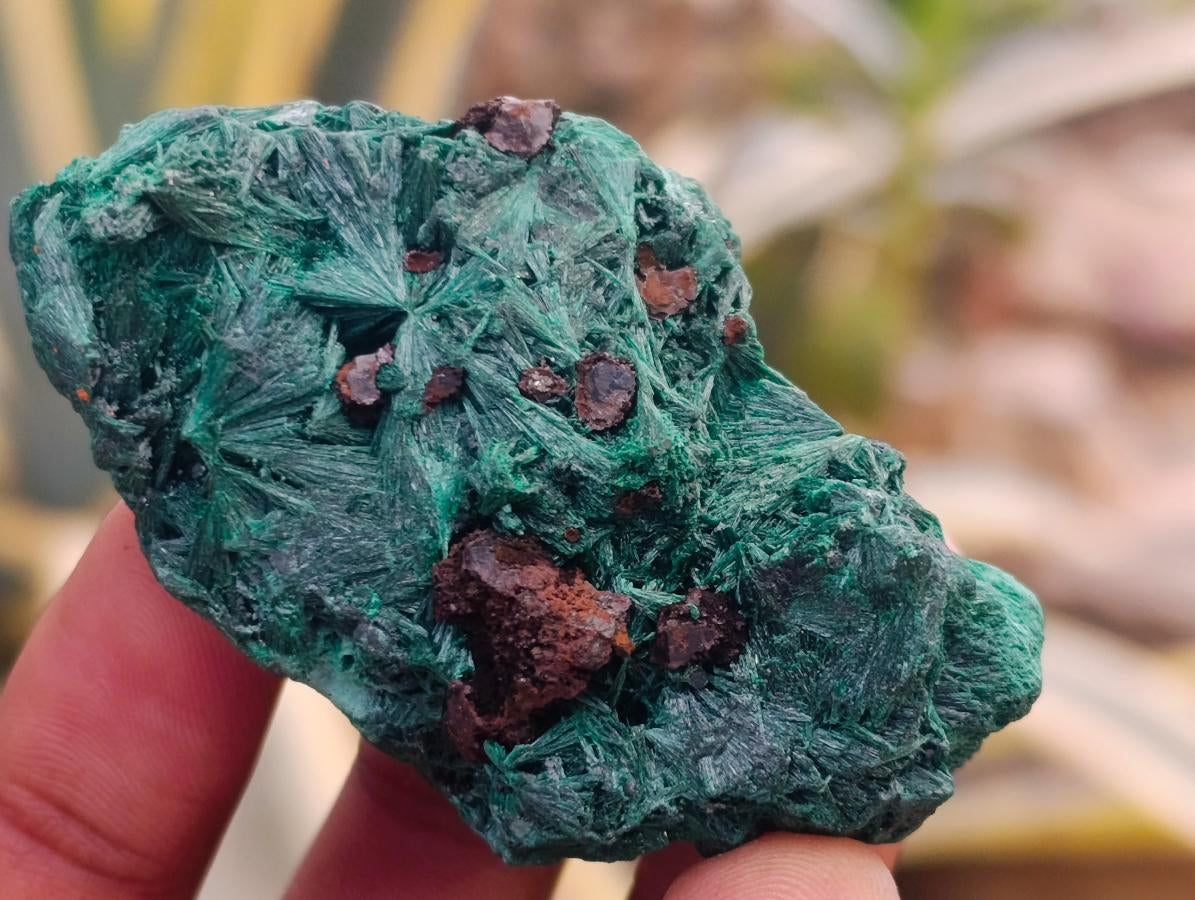 Natural Silky Malachite Specimens x 12 From Kasompe, Congo - Toprock Gemstones and Minerals 