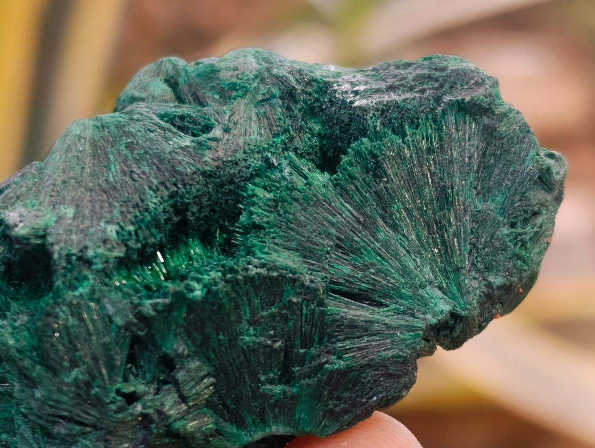 Natural Silky Malachite Specimens x 12 From Kasompe, Congo - Toprock Gemstones and Minerals 
