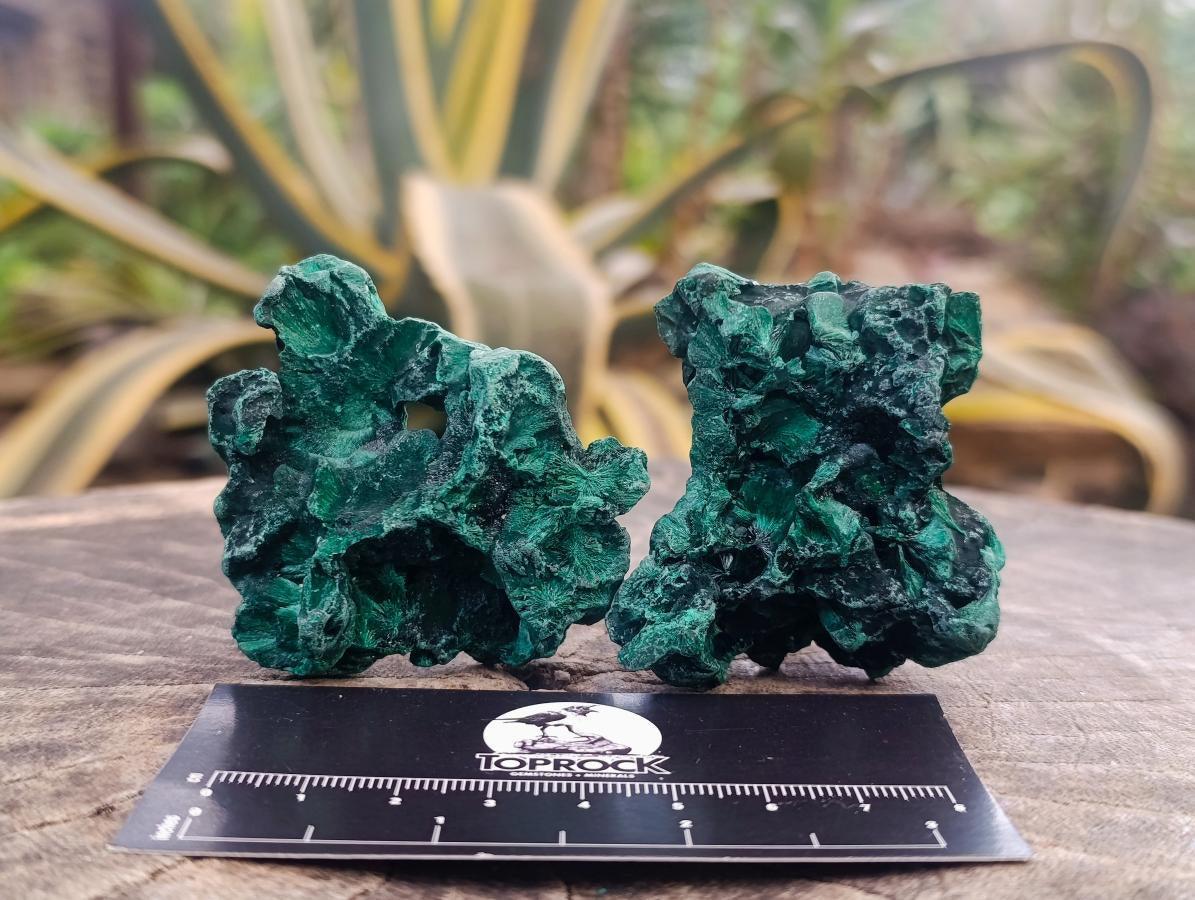 Natural Silky Malachite Specimens x 12 From Kasompe, Congo - Toprock Gemstones and Minerals 