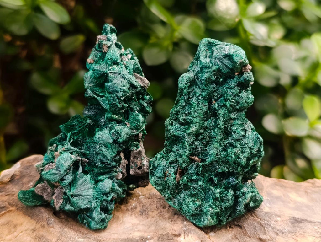 Natural Silky Malachite Specimens x 12 From Kasompe, Congo - Toprock Gemstones and Minerals 
