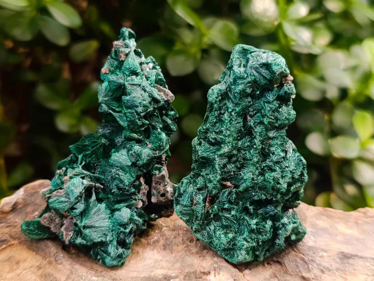 Natural Silky Malachite Specimens x 12 From Kasompe, Congo - Toprock Gemstones and Minerals 