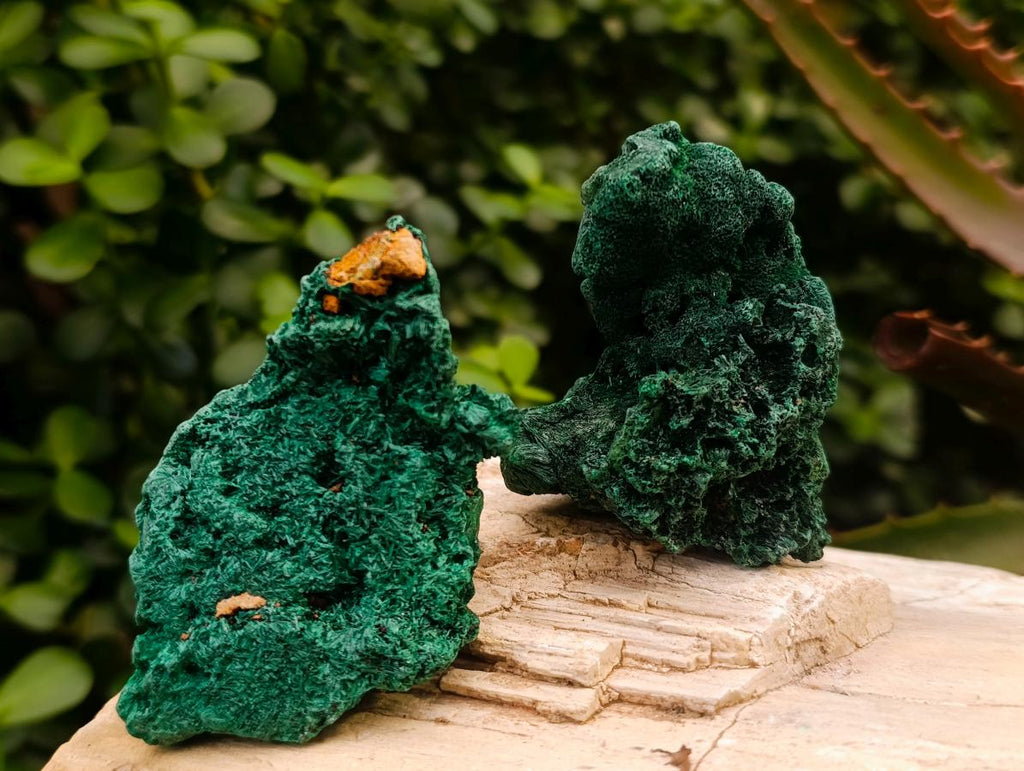 Natural Silky Malachite Specimens x 12 From Kasompe, Congo - Toprock Gemstones and Minerals 