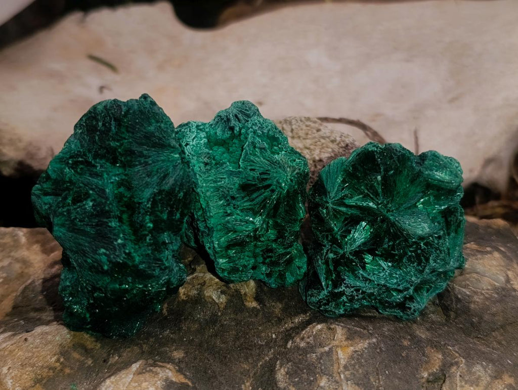 Natural Silky Malachite Specimens x 12 From Kasompe, Congo - Toprock Gemstones and Minerals 