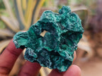 Natural Silky Malachite Specimens x 12 From Kasompe, Congo - Toprock Gemstones and Minerals 