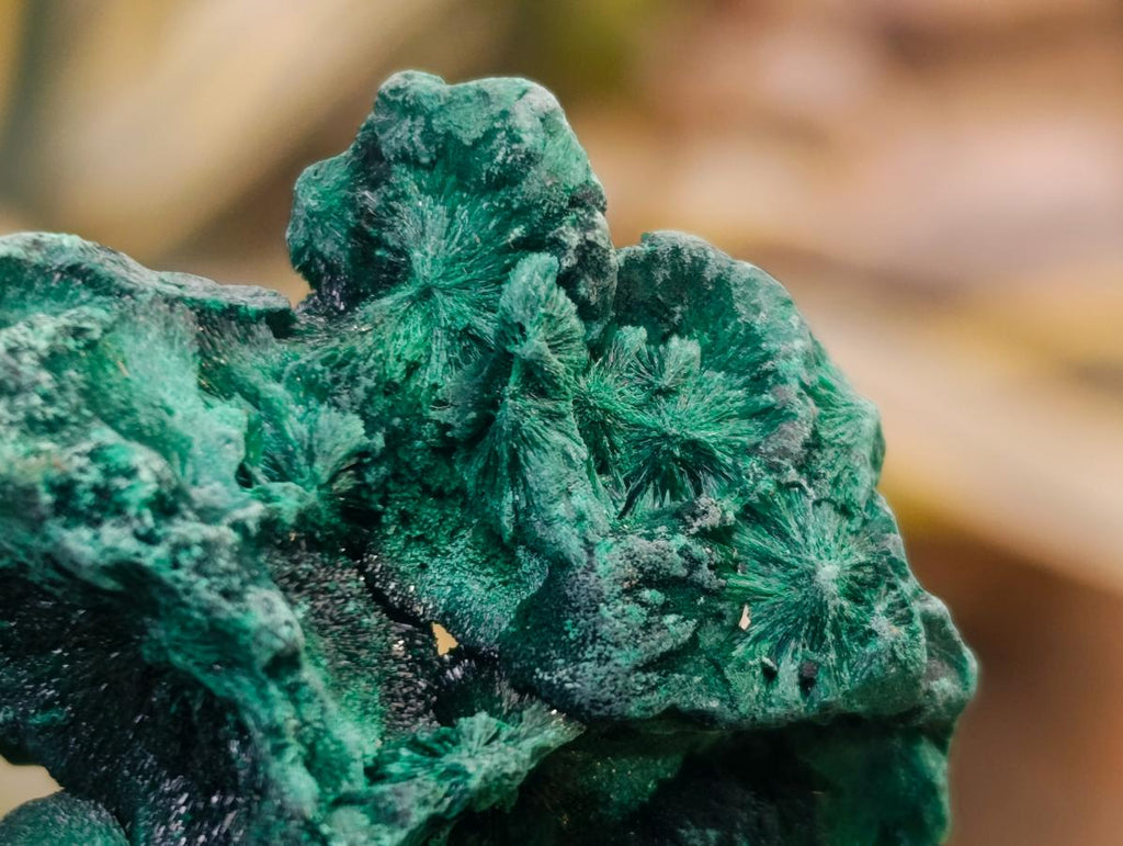 Natural Silky Malachite Specimens x 12 From Kasompe, Congo - Toprock Gemstones and Minerals 