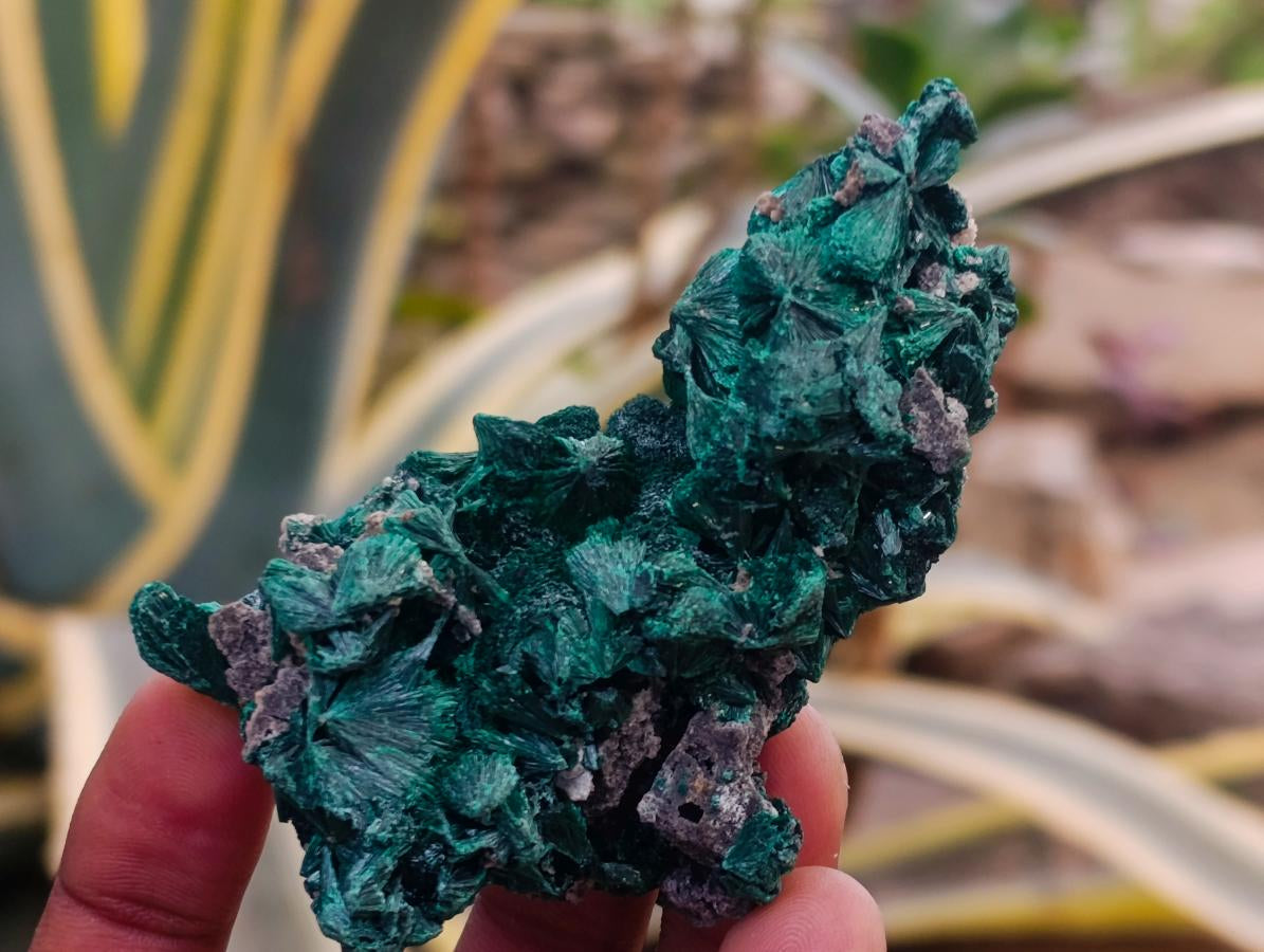 Natural Silky Malachite Specimens x 12 From Kasompe, Congo - Toprock Gemstones and Minerals 