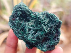 Natural Silky Malachite Specimens x 12 From Kasompe, Congo - Toprock Gemstones and Minerals 