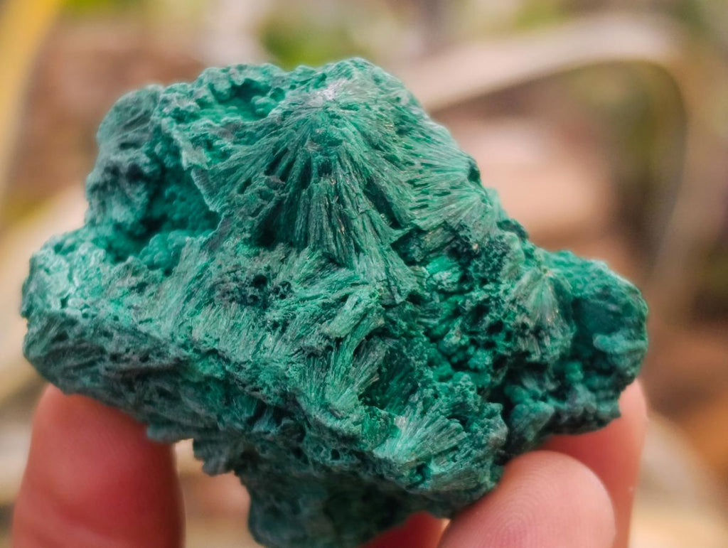 Natural Silky Malachite Specimens x 12 From Kasompe, Congo - Toprock Gemstones and Minerals 