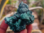 Natural Silky Malachite Specimens x 12 From Kasompe, Congo - Toprock Gemstones and Minerals 