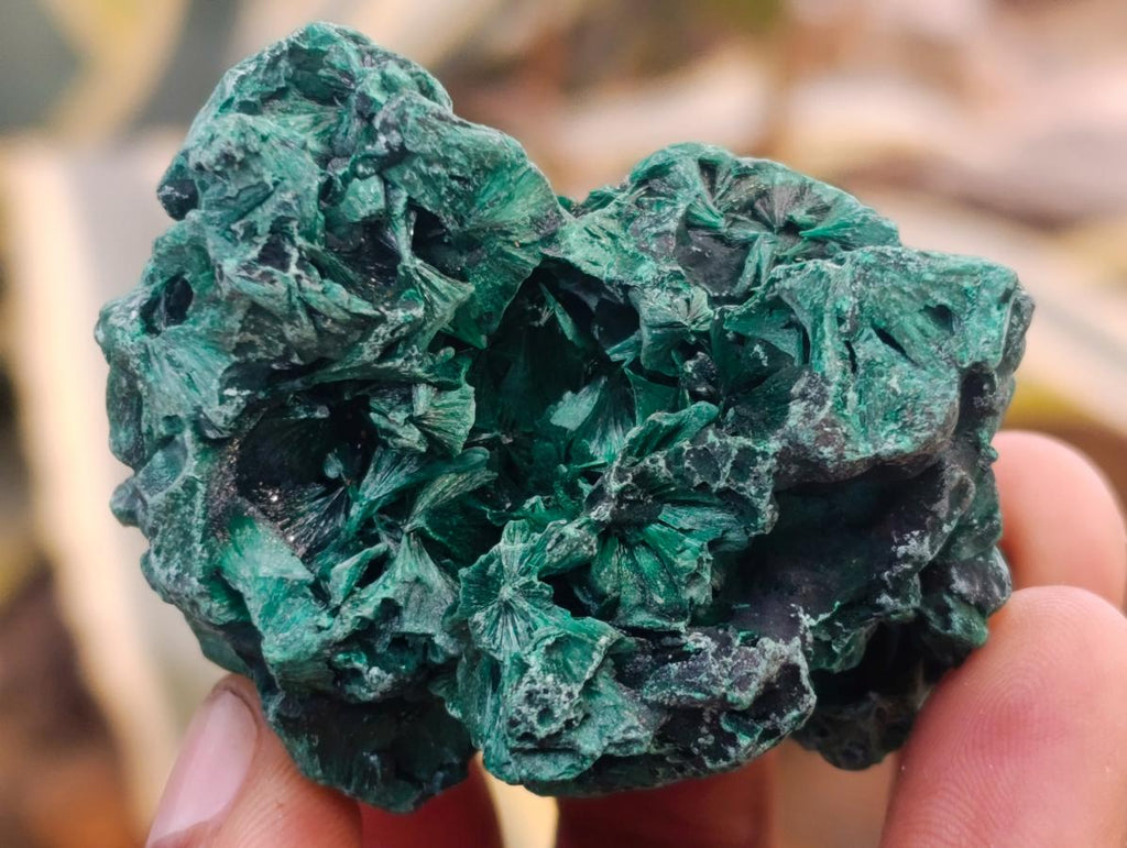Natural Silky Malachite Specimens x 12 From Kasompe, Congo - Toprock Gemstones and Minerals 