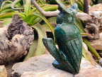 Hand Made Large Verdite Owl Carving x 1 From Zimbabwe - Toprock Gemstones and Minerals 
