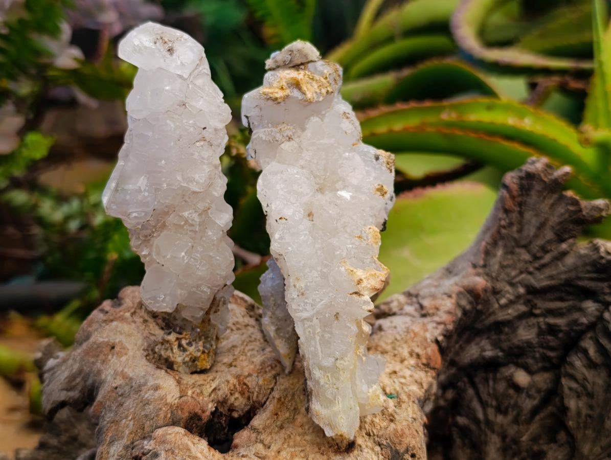 Natural Rhombohedral Calcite Crystals x 6 From Albert's Mountain, Lesotho - Toprock Gemstones and Minerals 