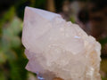 Natural Spirit Amethyst Clusters x 12 From Boekenhouthoek, South Africa - Toprock Gemstones and Minerals 