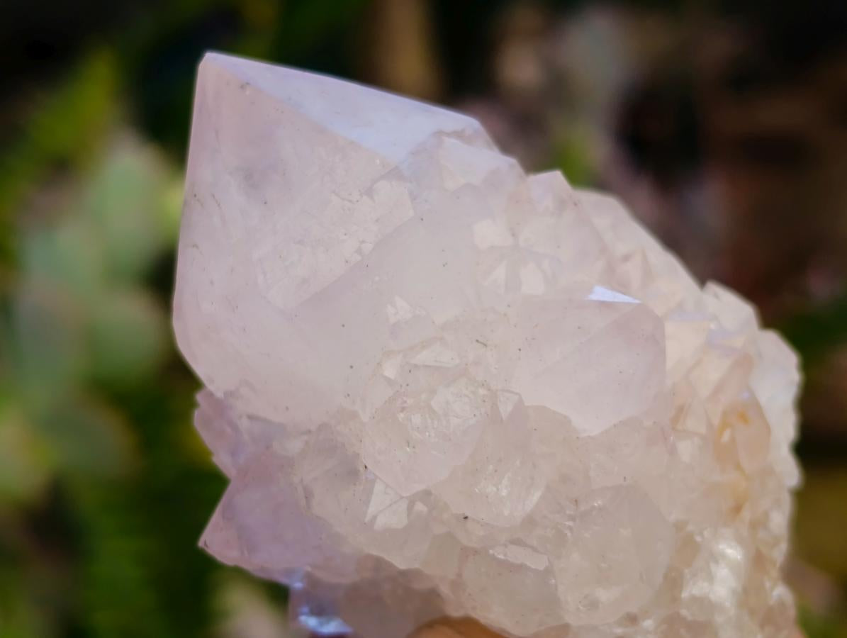 Natural Spirit Amethyst Clusters x 12 From Boekenhouthoek, South Africa - Toprock Gemstones and Minerals 