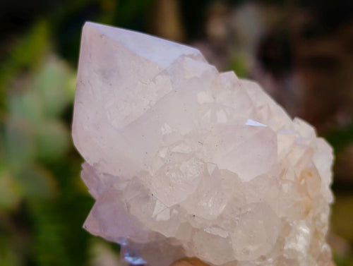 Natural Spirit Amethyst Clusters x 12 From Boekenhouthoek, South Africa - Toprock Gemstones and Minerals 
