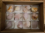 Natural Spirit Amethyst Clusters x 12 From Boekenhouthoek, South Africa - Toprock Gemstones and Minerals 