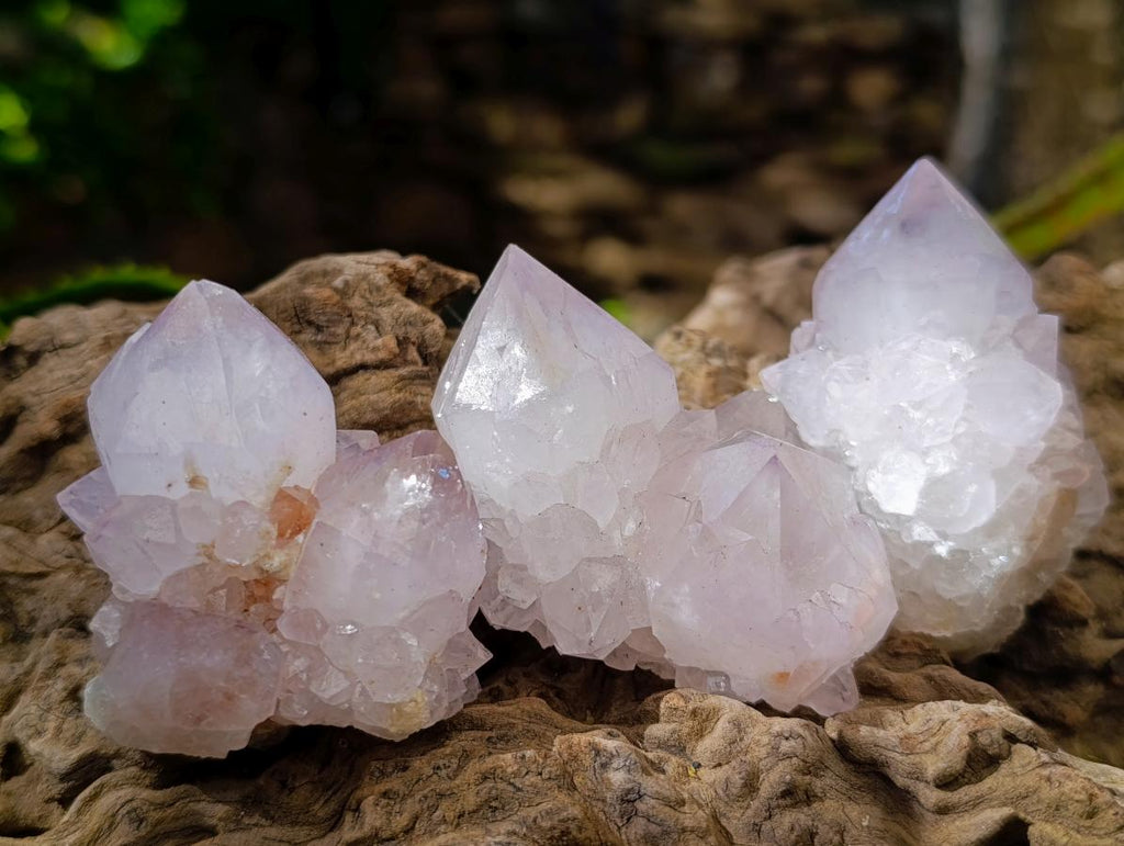 Natural Spirit Amethyst Clusters x 12 From Boekenhouthoek, South Africa - Toprock Gemstones and Minerals 