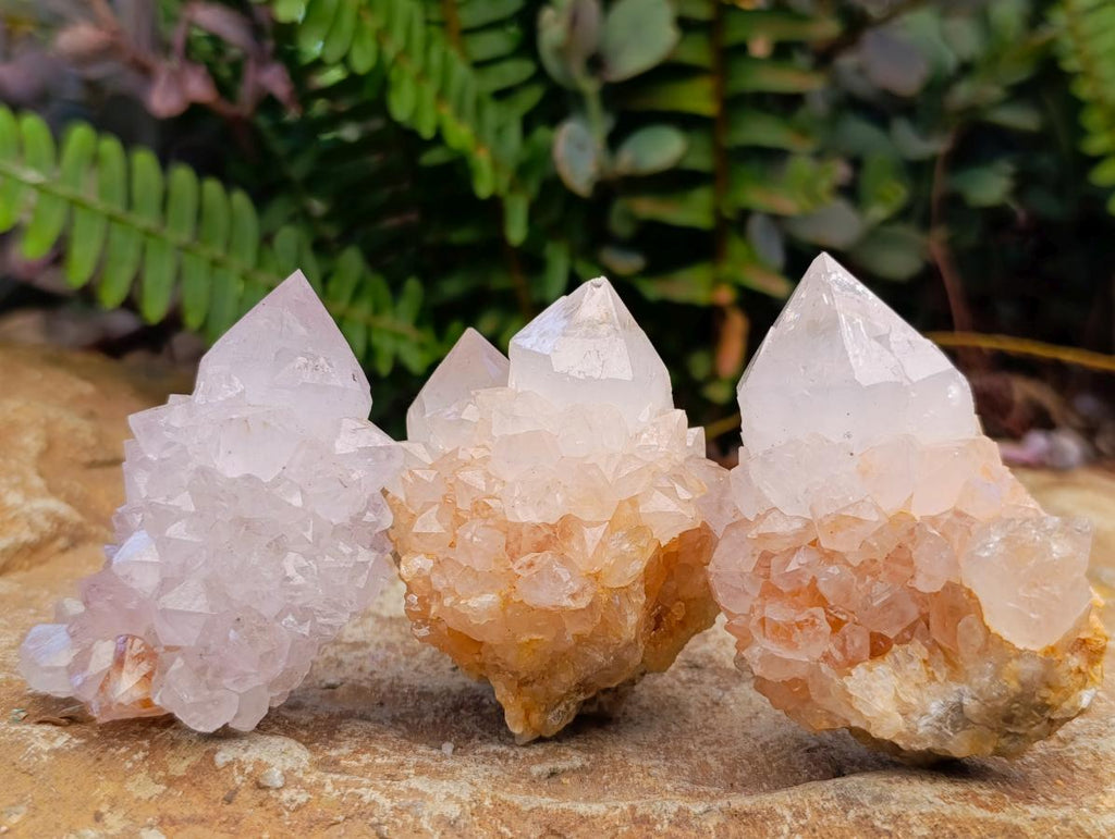 Natural Spirit Amethyst Clusters x 12 From Boekenhouthoek, South Africa - Toprock Gemstones and Minerals 