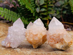 Natural Spirit Amethyst Clusters x 12 From Boekenhouthoek, South Africa - Toprock Gemstones and Minerals 