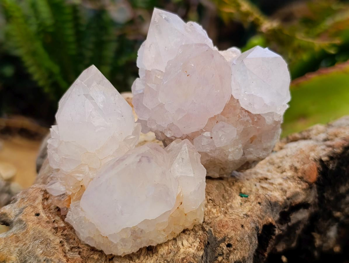 Natural Spirit Amethyst Clusters x 12 From Boekenhouthoek, South Africa - Toprock Gemstones and Minerals 