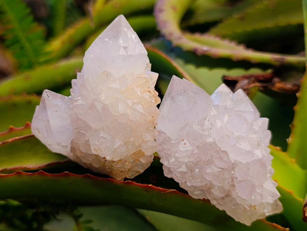Natural Spirit Amethyst Clusters x 12 From Boekenhouthoek, South Africa - Toprock Gemstones and Minerals 