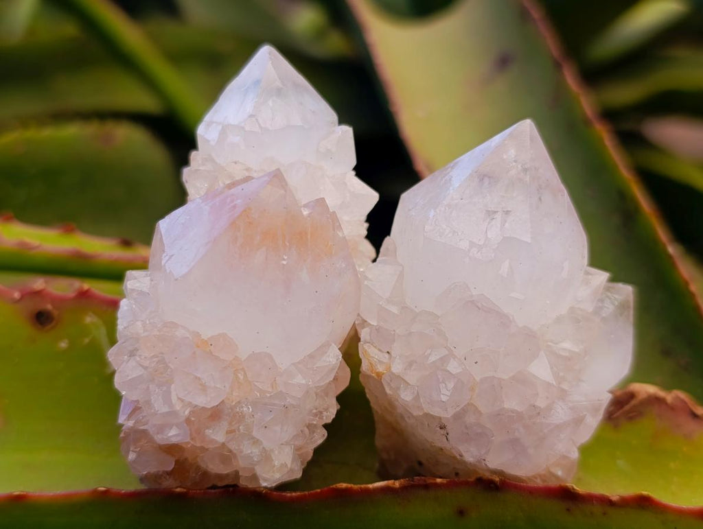 Natural Spirit Amethyst Clusters x 12 From Boekenhouthoek, South Africa - Toprock Gemstones and Minerals 