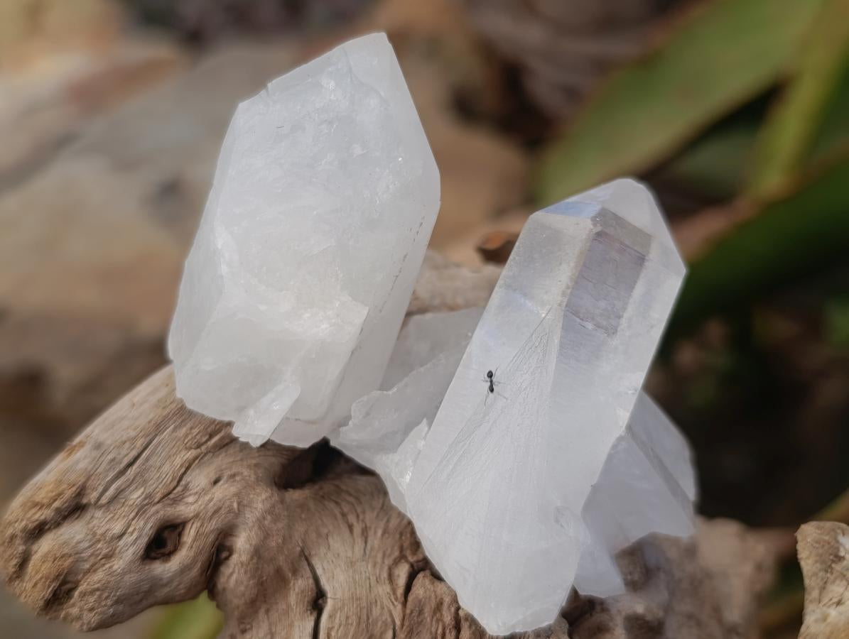 Natural Malagasy Quartz Clusters x 24 From Madagascar - Toprock Gemstones and Minerals 