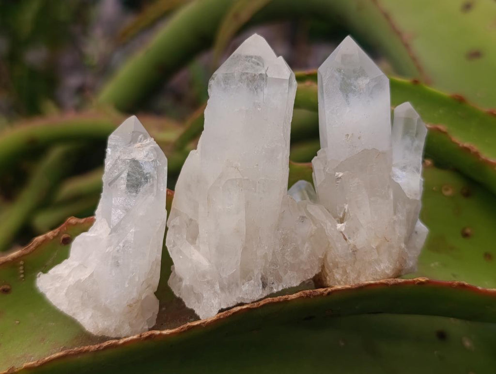 Natural Malagasy Quartz Clusters x 24 From Madagascar - Toprock Gemstones and Minerals 