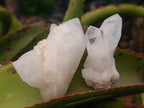 Natural Malagasy Quartz Clusters x 24 From Madagascar - Toprock Gemstones and Minerals 