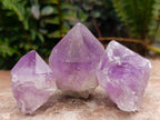 Natural Jacaranda Amethyst Single Crystals x 35 From Mumbwa, Zambia - Toprock Gemstones and Minerals 