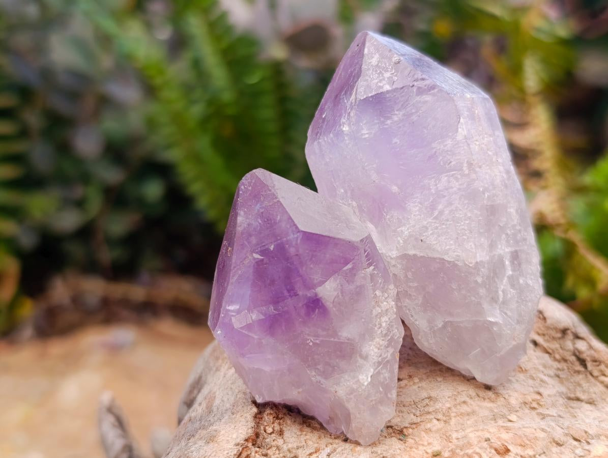Natural Jacaranda Amethyst Single Crystals x 35 From Mumbwa, Zambia - Toprock Gemstones and Minerals 