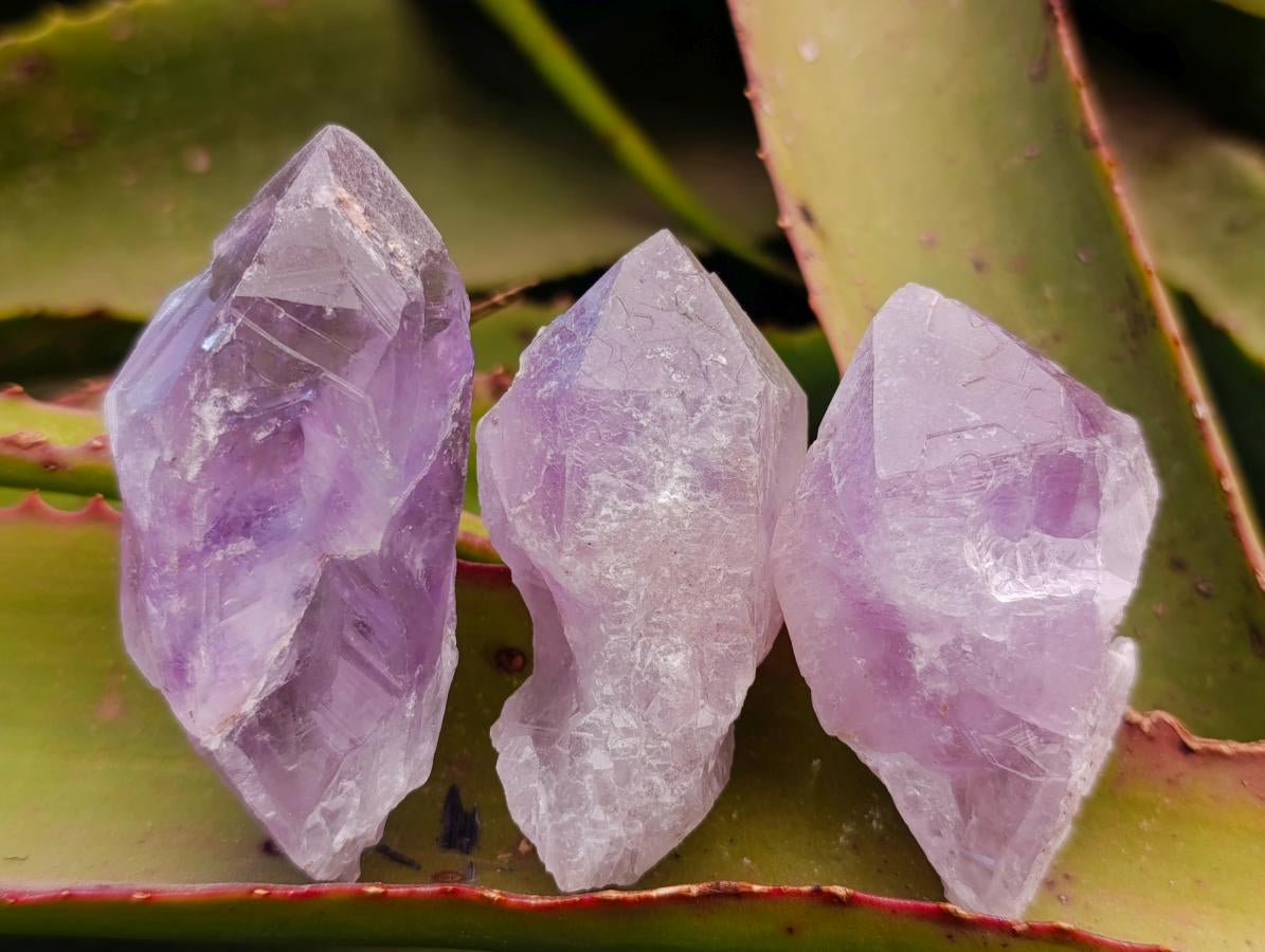 Natural Jacaranda Amethyst Single Crystals x 35 From Mumbwa, Zambia - Toprock Gemstones and Minerals 