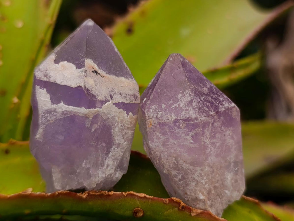 Natural Jacaranda Amethyst Single Crystals x 35 From Mumbwa, Zambia - Toprock Gemstones and Minerals 