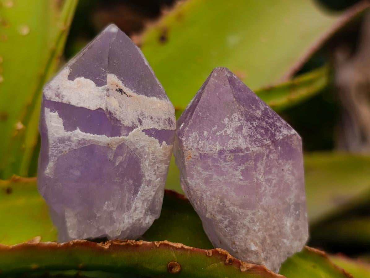 Natural Jacaranda Amethyst Single Crystals x 35 From Mumbwa, Zambia - Toprock Gemstones and Minerals 