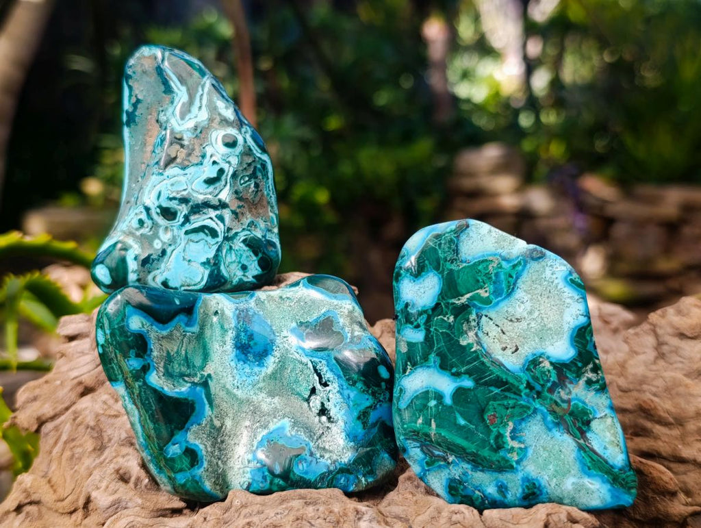 Polished Malacolla Free Forms x 14 From Kulukuluku, Congo - Toprock Gemstones and Minerals 