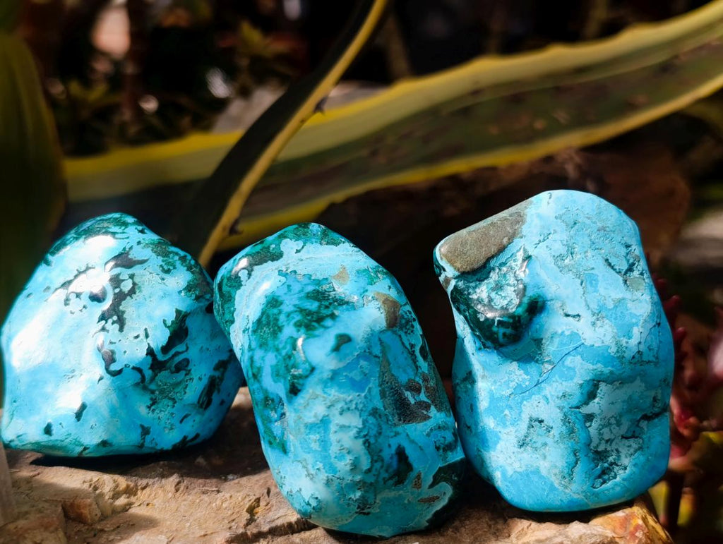 Polished Malacolla Free Forms x 14 From Kulukuluku, Congo - Toprock Gemstones and Minerals 