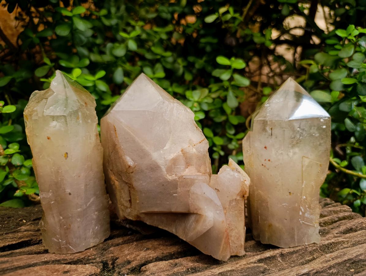 Polished On One Side Large Smokey Quartz Crystals x 3 From Angola - Toprock Gemstones and Minerals 