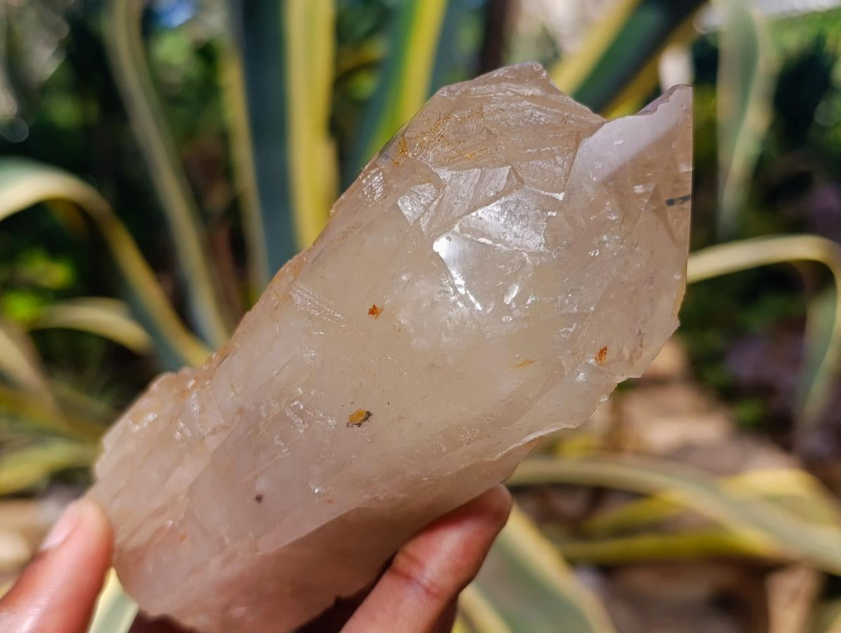 Polished On One Side Large Smokey Quartz Crystals x 3 From Angola - Toprock Gemstones and Minerals 