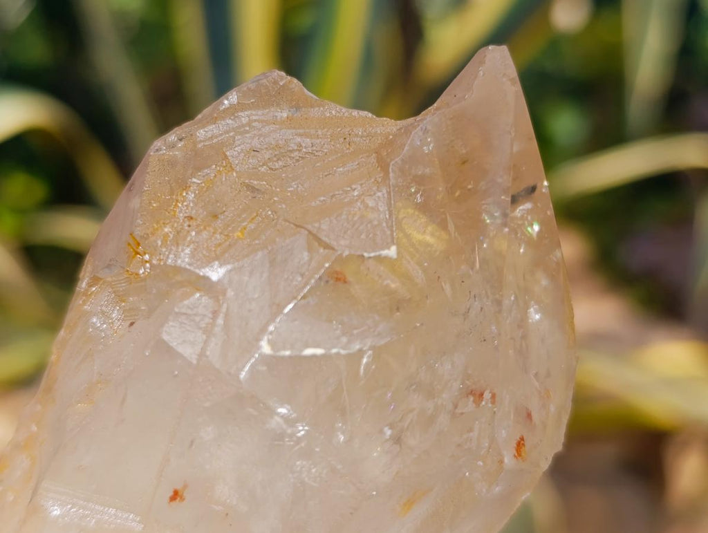 Polished On One Side Large Smokey Quartz Crystals x 3 From Angola - Toprock Gemstones and Minerals 