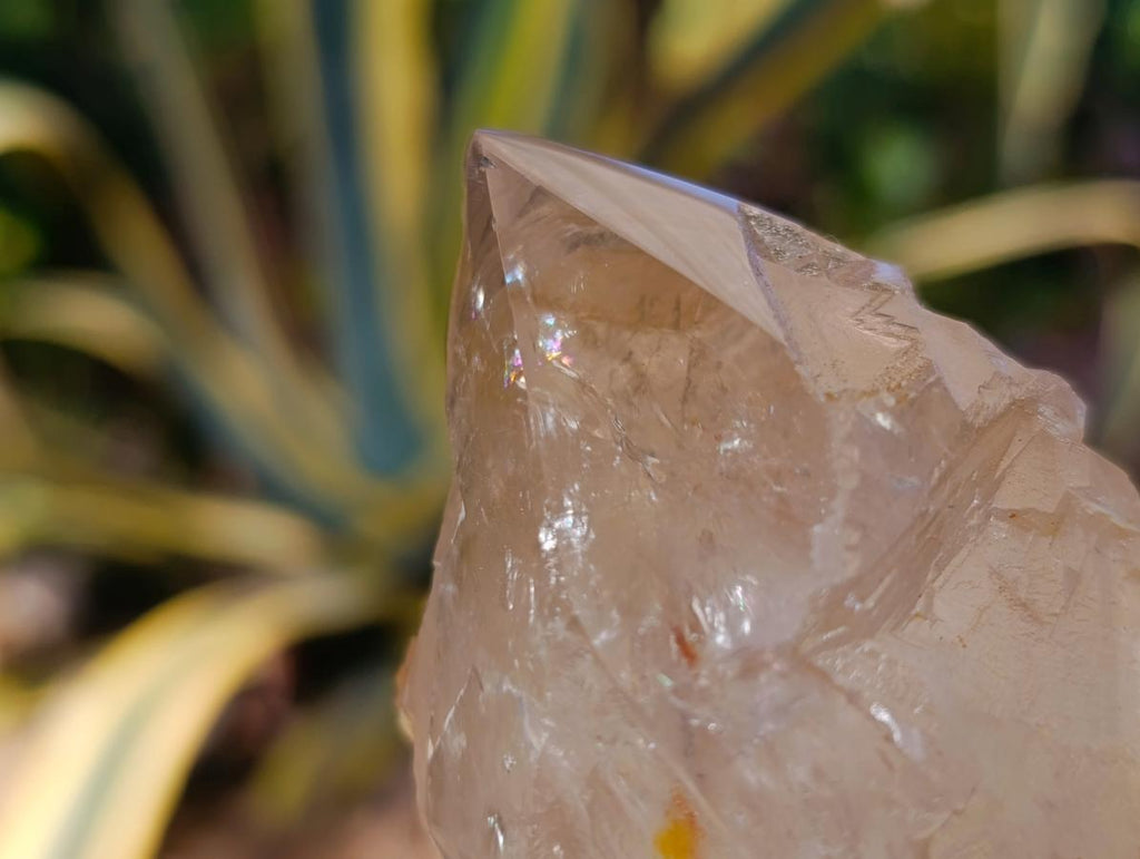 Polished On One Side Large Smokey Quartz Crystals x 3 From Angola - Toprock Gemstones and Minerals 
