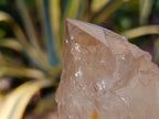 Polished On One Side Large Smokey Quartz Crystals x 3 From Angola - Toprock Gemstones and Minerals 