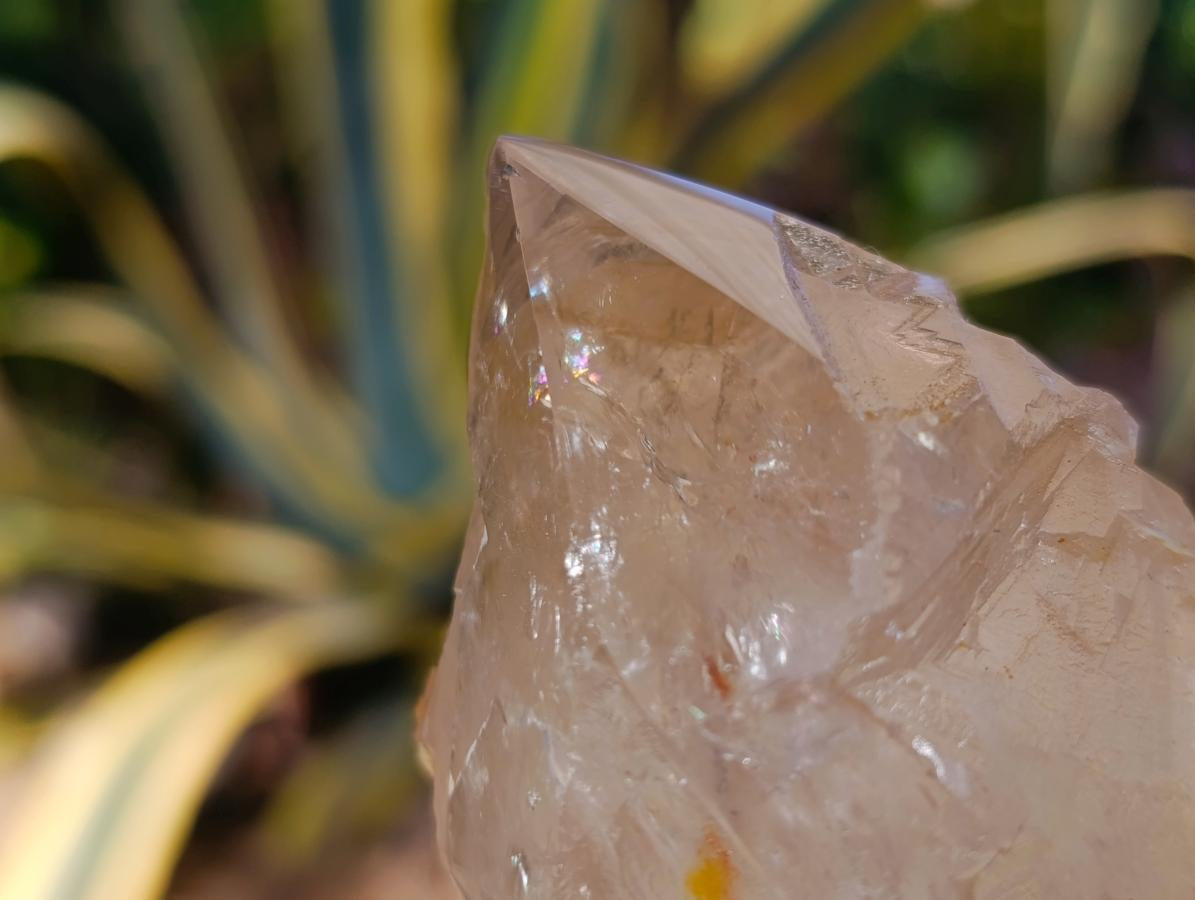 Polished On One Side Large Smokey Quartz Crystals x 3 From Angola - Toprock Gemstones and Minerals 